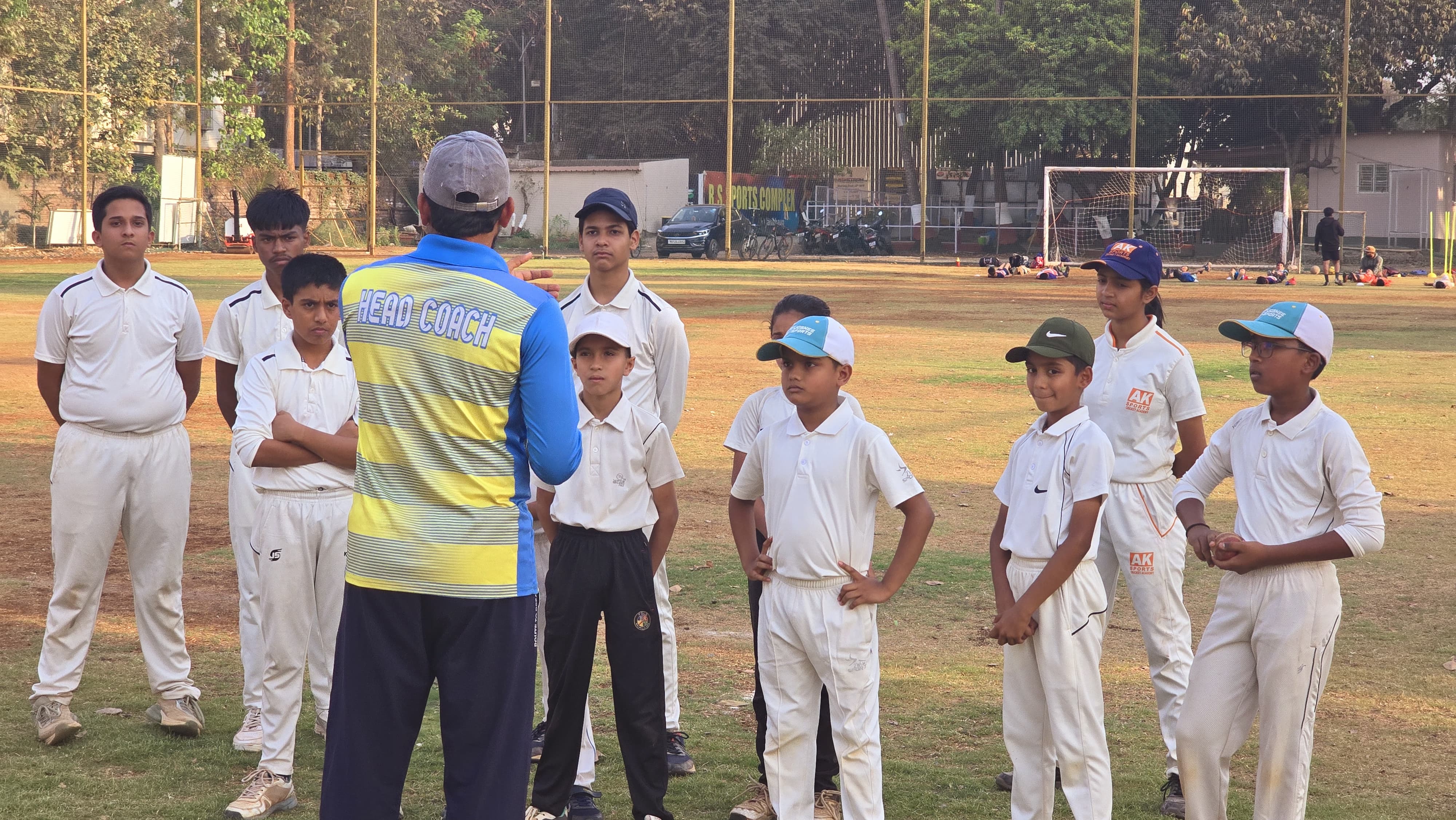 cricket