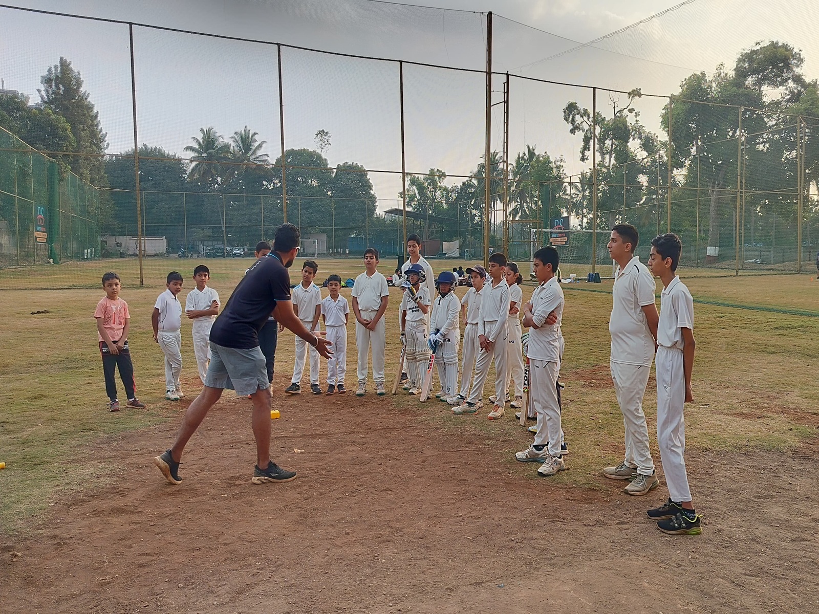 cricket